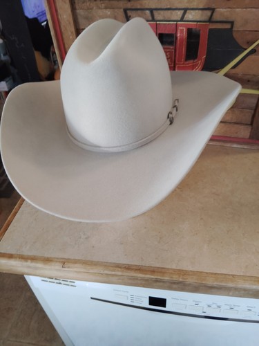 Rodeo king beaver cowboy - king, 7x
